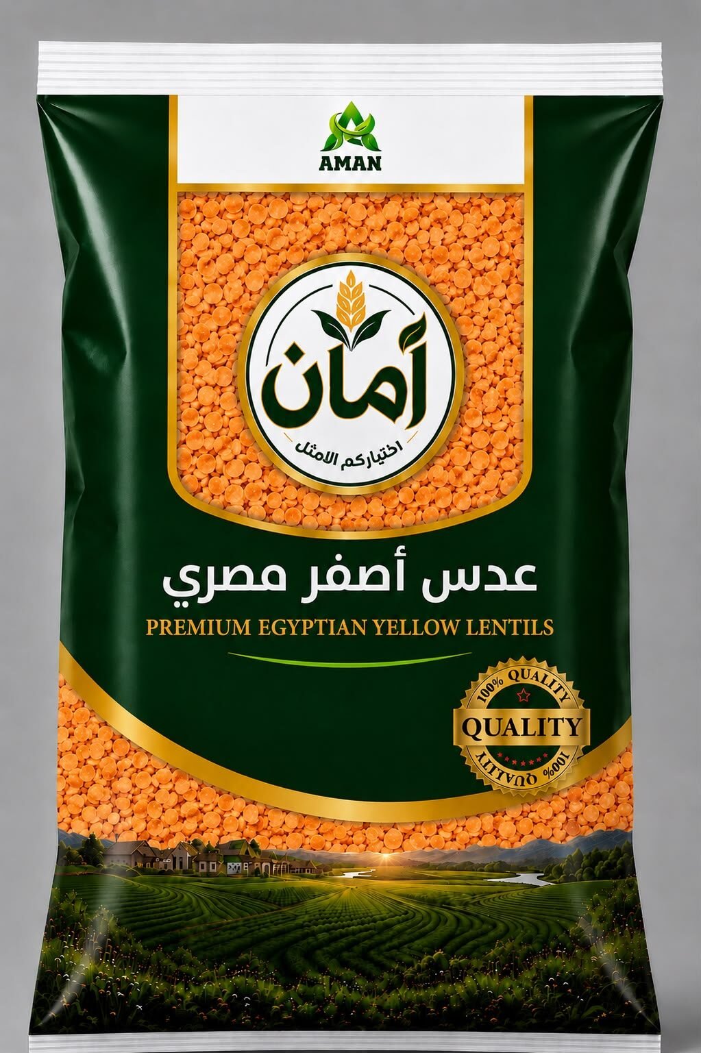 Egyptian Yellow Lentils